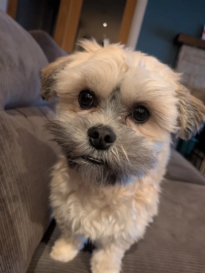 https://app.famworld.com/api/attachments/image/aEkDTLmh5BfFkI8yo2ya