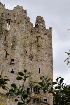 Blarney Castle Grounds