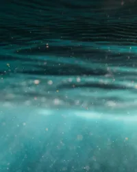 The Blue Grotto: a paradise hidden in the depths