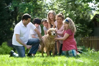 Cómo elegir una familia anfitriona para una estancia lingüística