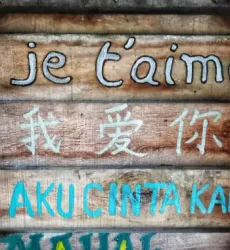 Esplorando il Mondo delle Lingue: Un Viaggio nell'Incredibile Diversità dei Linguaggi Umani