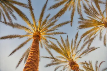 California: A World Apart